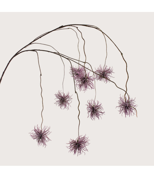 Xanthium hangend Paars H120