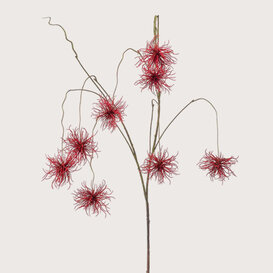 Xanthium hangend Rood H120