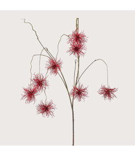 Xanthium hangend Rood H120