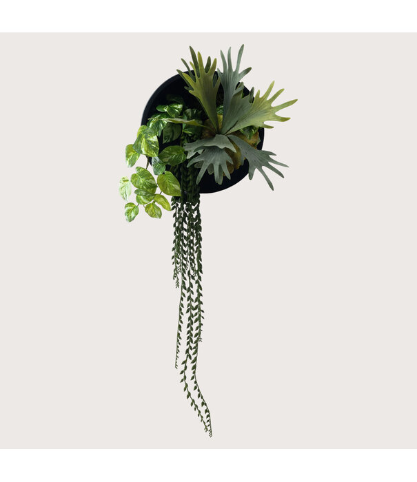 Jack Black/Green D30