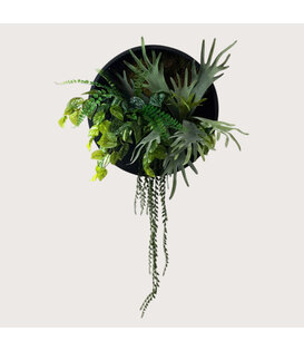 Janus Zwart/Groen D50