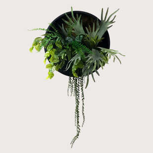 Janus Zwart/Groen D50