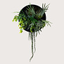 Janus Zwart/Groen D50