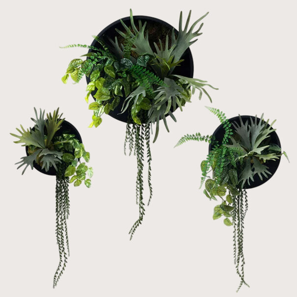 Janus Zwart/Groen D50