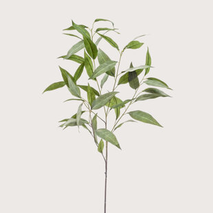 Eucalyptus Green H93