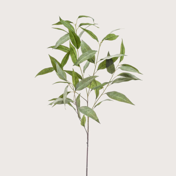 Eucalyptus Green H93