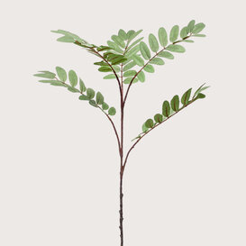 Mahonia branch Green H105