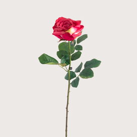 Rose Pink H66