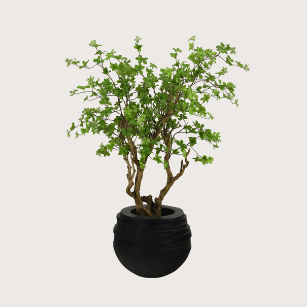 Bowl Roza Black Matt D47 H36