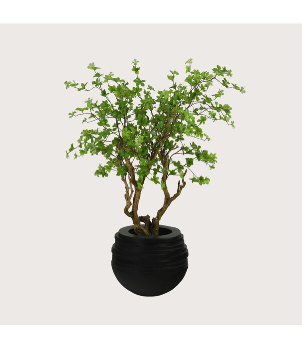 Bowl Roza Black Matt D47 H36