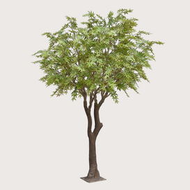 Acer XL Tree H300