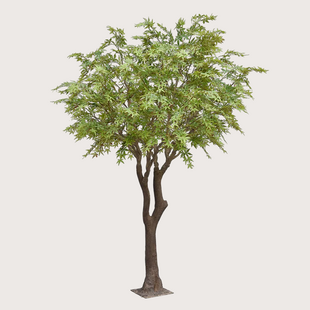 Acer XL Tree H300