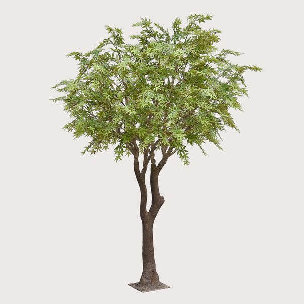 Acer XL Tree H300