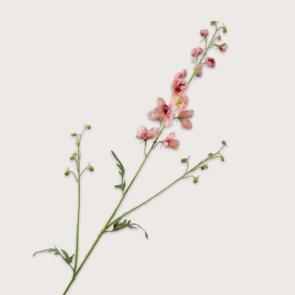 Delphinium Tak Roze H101