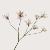 Lily Branch Lavender H85