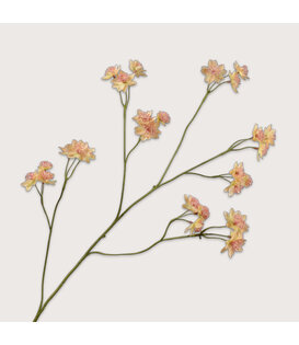 Astrantia Branch Peach H95