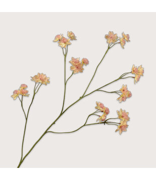 Astrantia Branch Peach H95