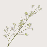 Blossom Branch Green H109