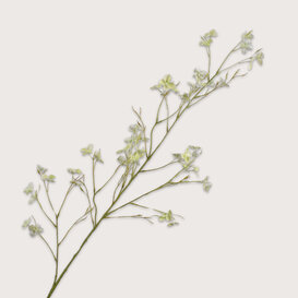 Blossom Branch Green H109