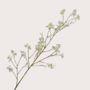 Blossom Branch Green H109