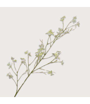 Blossom Branch Green H109