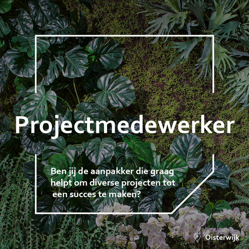 Vacancy Project Assistant (32-40u)