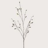 Sanguisorba Tak Groen H110