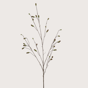 Sanguisorba Branch Green H110