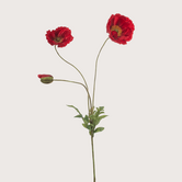 Poppy 3-Tak Rood H75