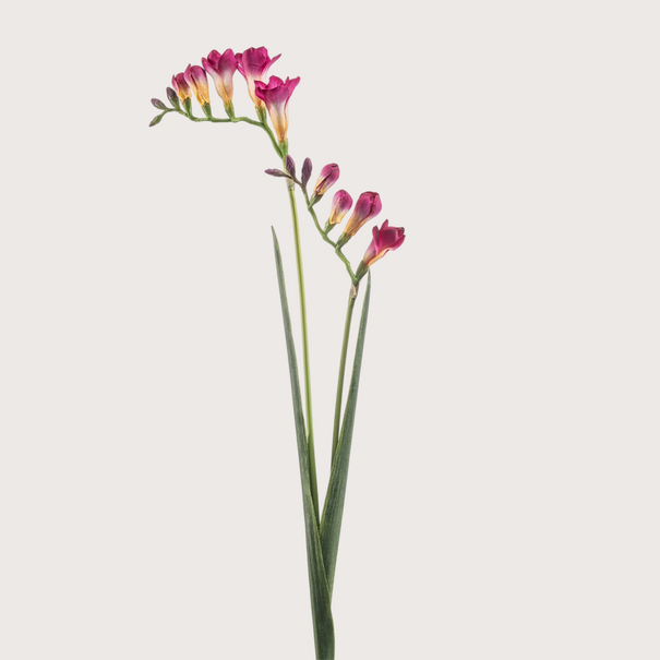 Freesia Branch Pink H80