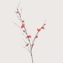 Quince Blossom Branch Coral H125
