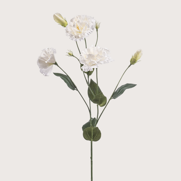 Lisianthus Branch Cream H75
