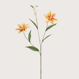 Lily Branch Yellow H70