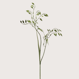 Grass Branch Green H75