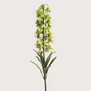 Fritillaria Branch Green H90