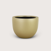 Pot Lynn Champagne D46 H37