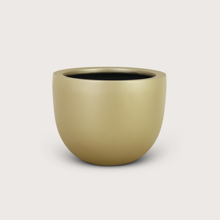 Pot Lynn Champagne D46 H37