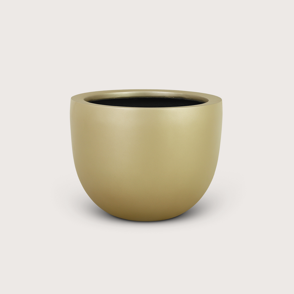 Pot Lynn Champagne D46 H37