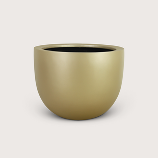 Pot Lynn Champagne D60 H48