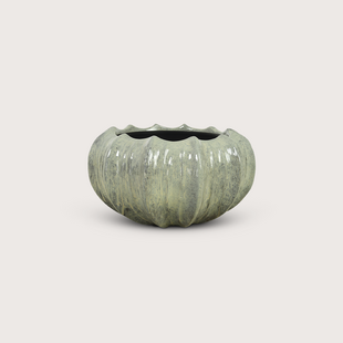 Bowl Titan Ecru D53 H31