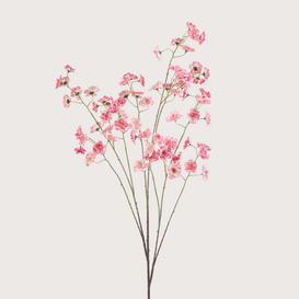 Bloesem Roze H135