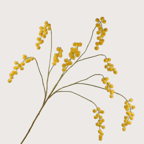 Mimosa Tak Geel H135