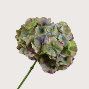 Hydrangea Branch Blue/Green H75