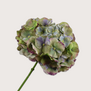 Hydrangea Branch Blue/Green H75
