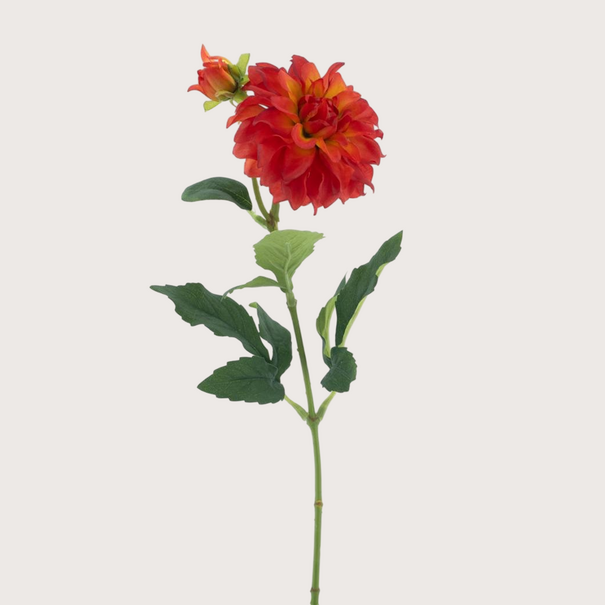 Dahlia Branch Red H62