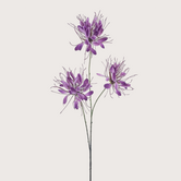 Spider Branch Purple H94