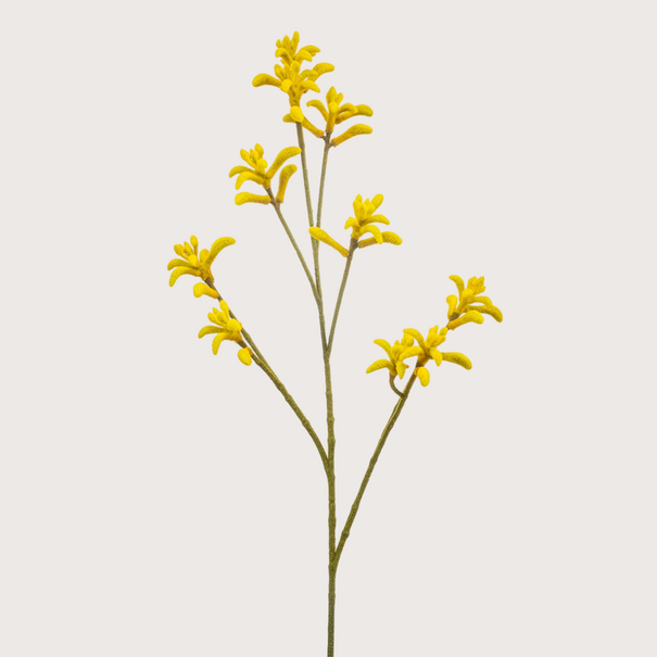 Kangaroo Paw Branch Yellow H85