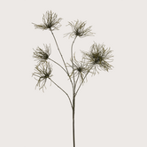 Anemone Branch Green H110