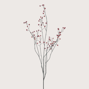 Rosehip Red H134