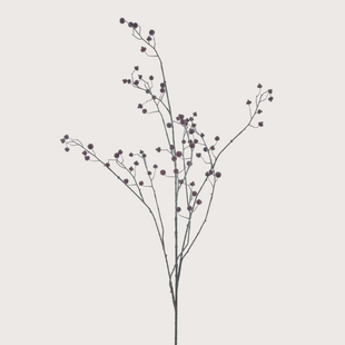 Rosehip Bordeaux H134
